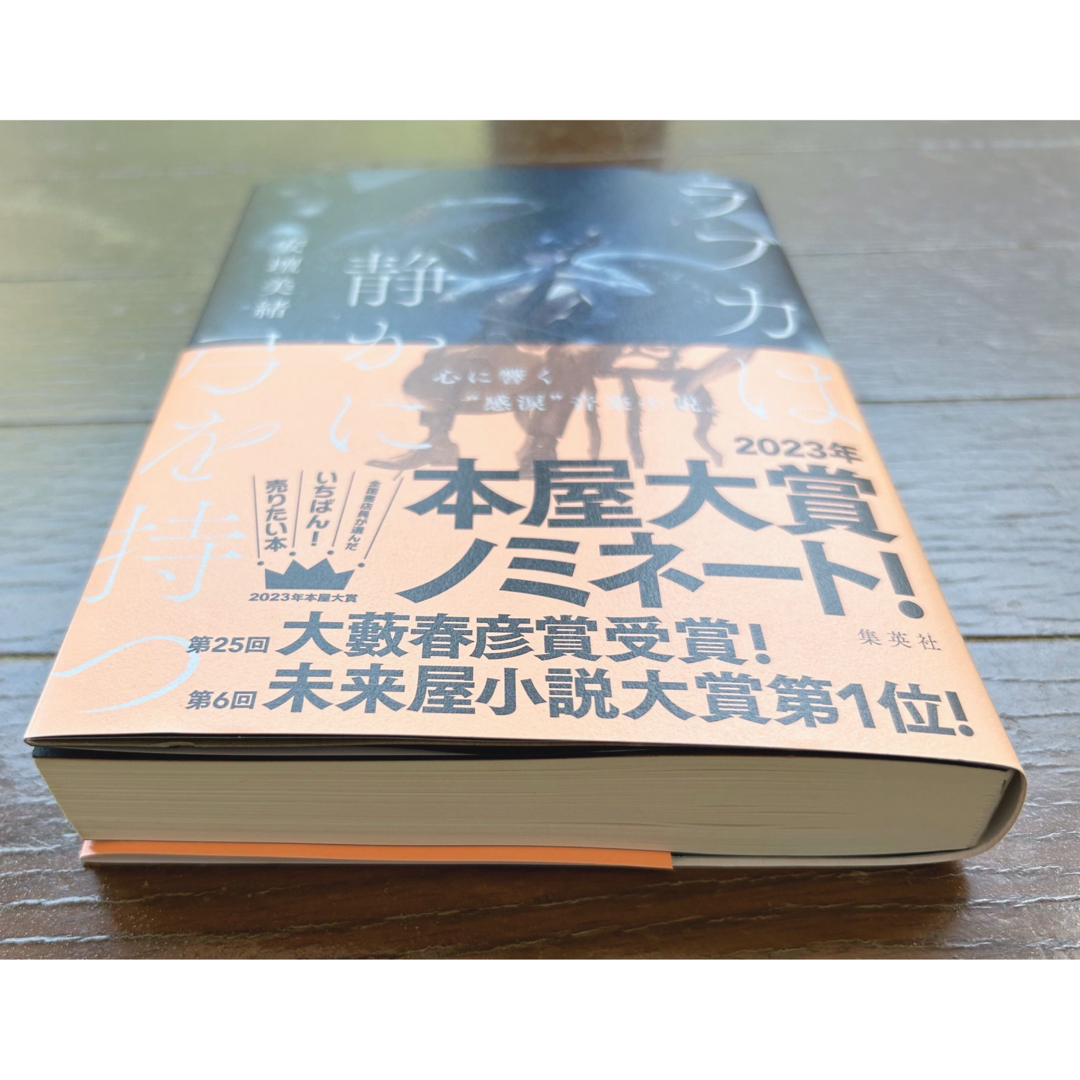 ラブカは静かに弓を持つ エンタメ/ホビーの本(文学/小説)の商品写真