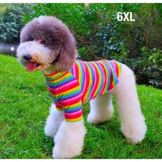 【ペット用】大型犬用 犬服 ペット服 可愛い　虹色 ボーダー柄 シャツ 6XL(犬)