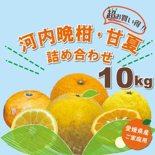 【超お買い得】河内晩柑・甘夏詰め合わせ１０ｋｇ補償有＜北海道・沖縄本島の方専用＞(フルーツ)