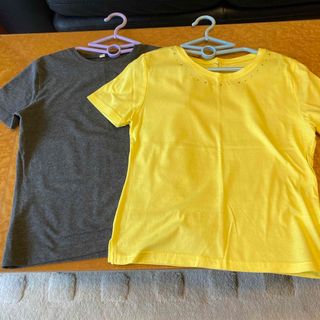 ムジルシリョウヒン(MUJI (無印良品))の無印のティシャツ2枚(Tシャツ/カットソー(半袖/袖なし))