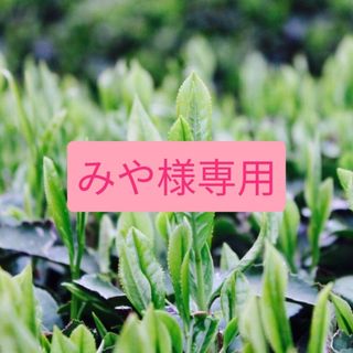 粉末狭山茶１００ｇ粉末ほうじ茶１００ｇ極上の芽２００ｇ(茶)