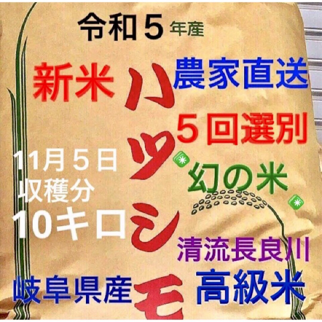 ️ すっことどっこい様専用⭐️R５年✳️５回選別・有機・無添加ハツシモ10キロ 食品/飲料/酒の食品(米/穀物)の商品写真