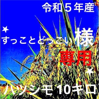 ️ すっことどっこい様専用⭐️R５年✳️５回選別・有機・無添加ハツシモ10キロ(米/穀物)