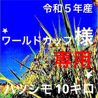 ⭐️ ワールドカップ様専用⭐️R５年✳️５回選別・有機・無添加ハツシモ10キロ(米/穀物)