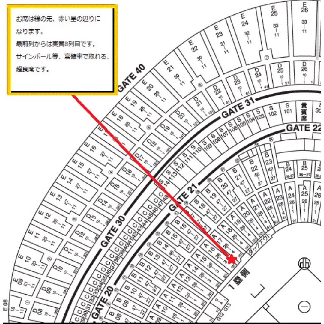 読売ジャイアンツ(ヨミウリジャイアンツ)の5月22日(水) 巨人vs中日 東京ドーム オーロラシートA ペア 角席超良席 チケットのスポーツ(野球)の商品写真