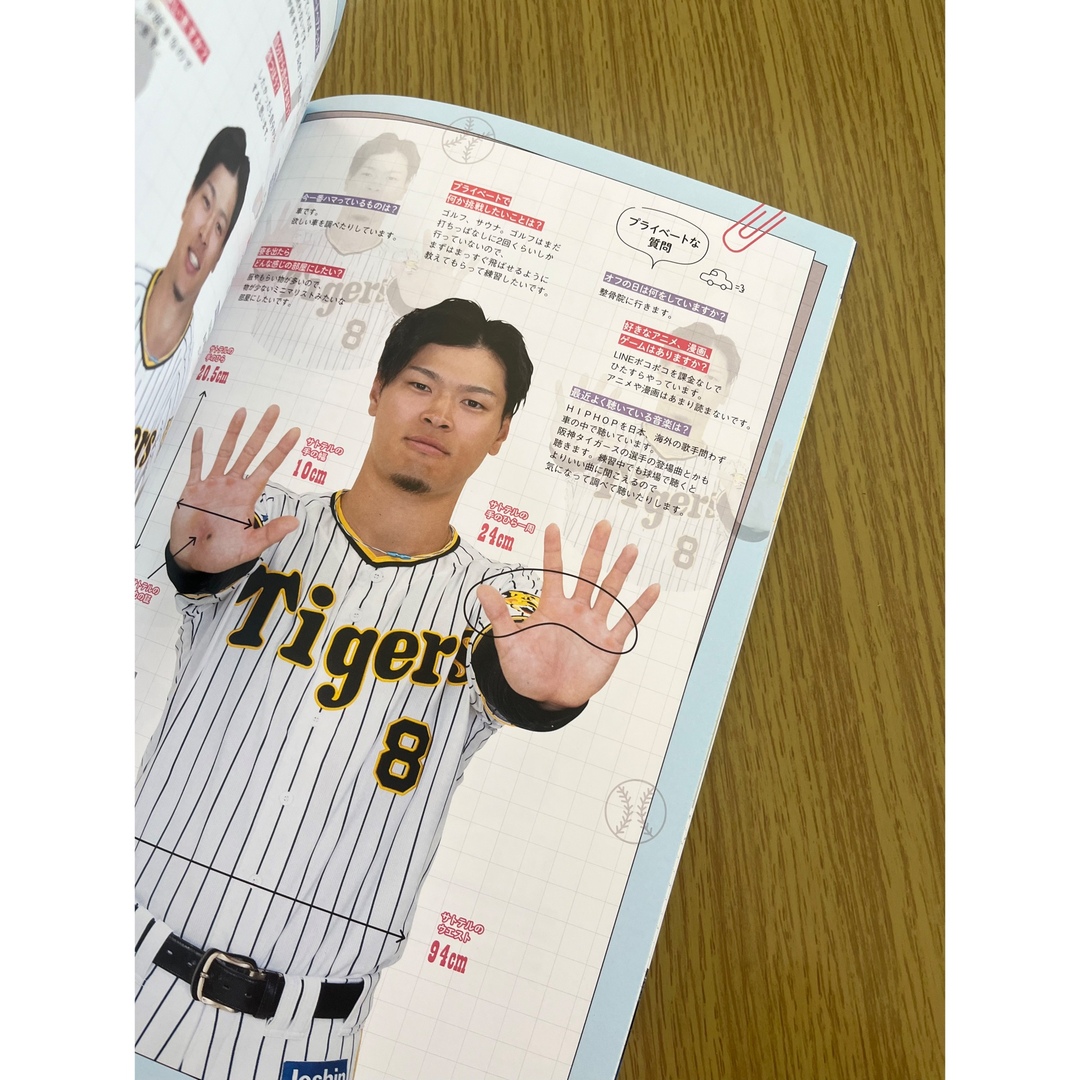 阪神タイガース(ハンシンタイガース)のTIGERS with TORACO 2023 スポーツ/アウトドアの野球(応援グッズ)の商品写真