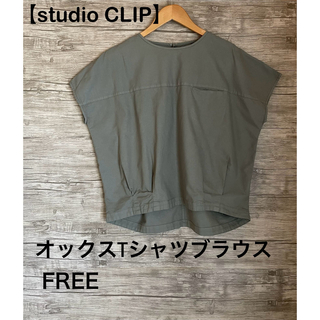 【studio CLIP】製品染めオックスTシャツブラウス