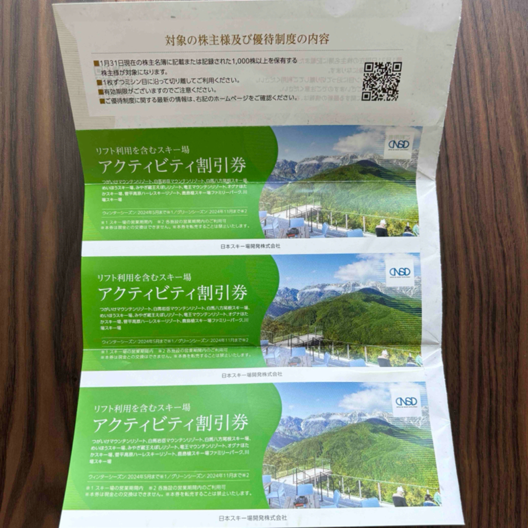 日本駐車場開発　株主優待 チケットの優待券/割引券(ショッピング)の商品写真