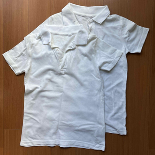 ネクスト(NEXT)の白ポロシャツ　二枚セット(ブラウス)