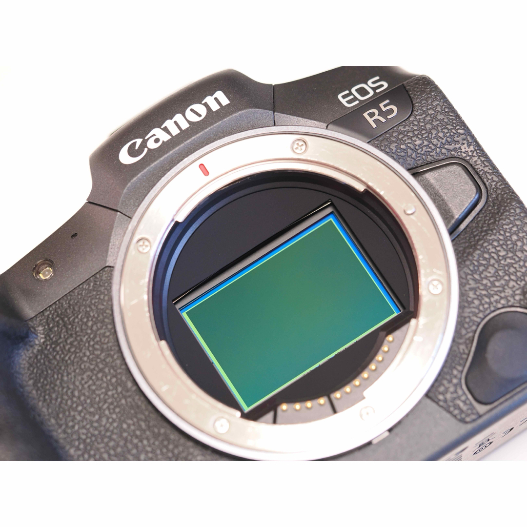 【値下げ不可】キヤノン CANON EOS R5 ボディ スマホ/家電/カメラのカメラ(ミラーレス一眼)の商品写真