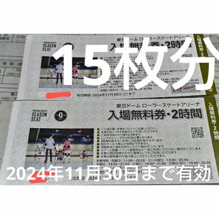 【15枚】2024年11月30日まで有効 東京ドームシティ　ローラースケート