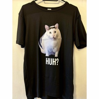 はぁ？猫　猫ミーム バナナ猫 Tシャツ メンズ 新品未使用 XL(Tシャツ/カットソー(半袖/袖なし))