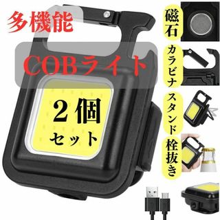 COBライト　２個　LED　キャンプ　アウトドア　釣り　コンパクト　USB-C