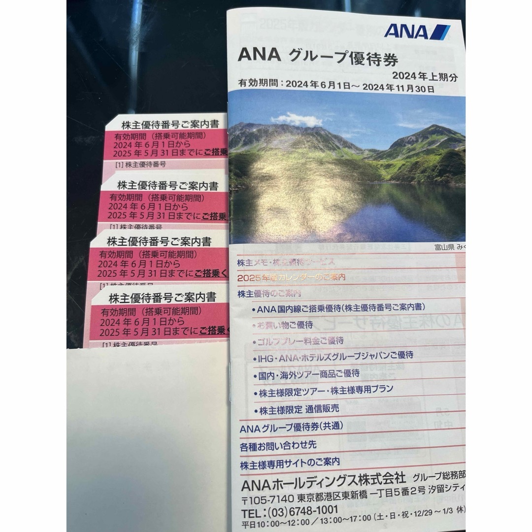 ANA(全日本空輸)(エーエヌエー(ゼンニッポンクウユ))のANA チケットの乗車券/交通券(航空券)の商品写真