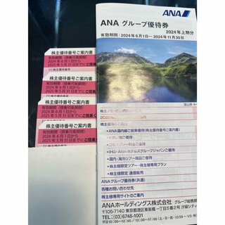 ANA(全日本空輸) - ANA