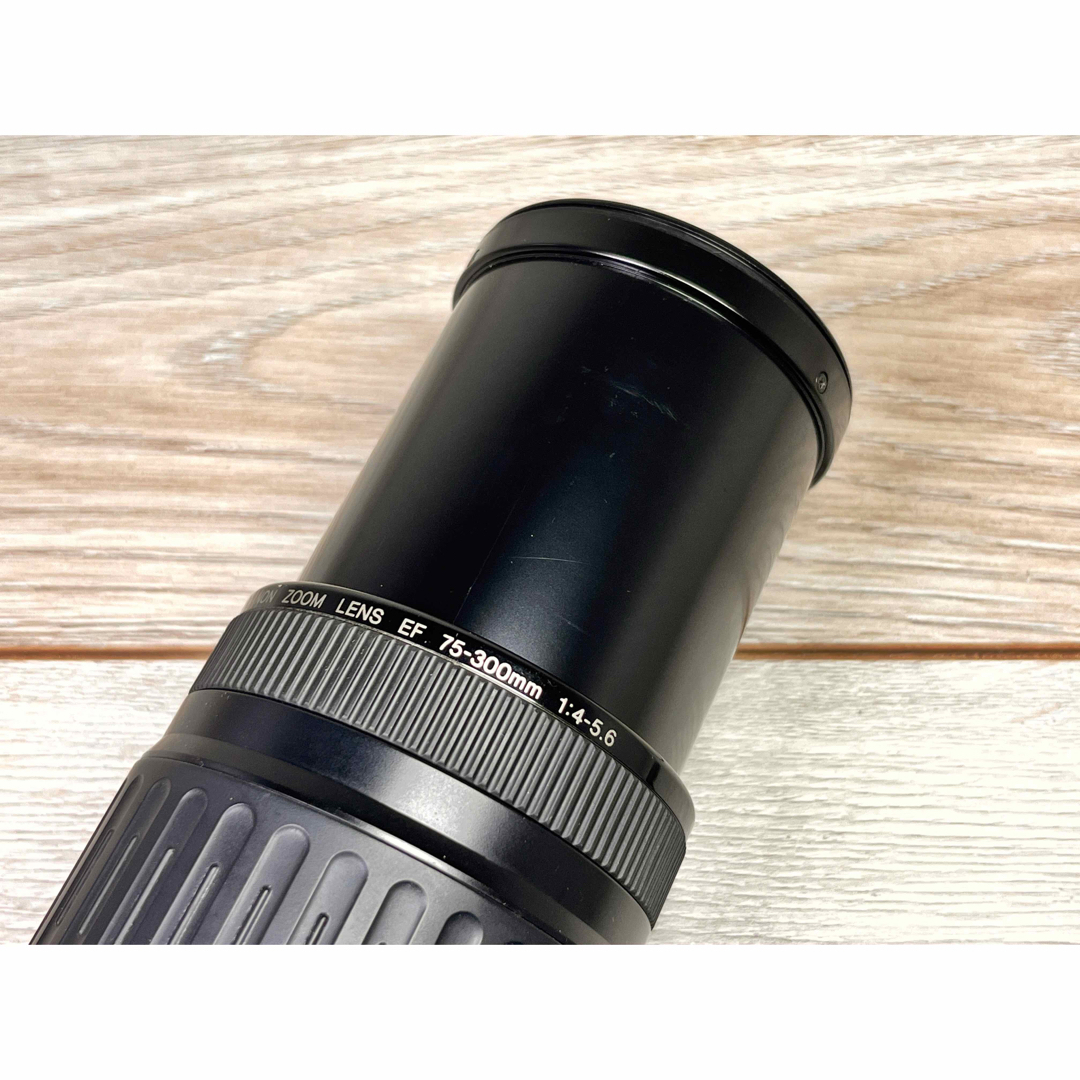 Canon(キヤノン)の✨安心保証✨CANON ZOOM EF 75-300mm f/4-5.6 スマホ/家電/カメラのカメラ(レンズ(ズーム))の商品写真