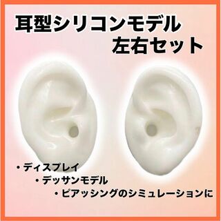 耳型模型　シリコン　左右両耳セット　ピアス　ディスプレイ　練習　モデル　ホワイト