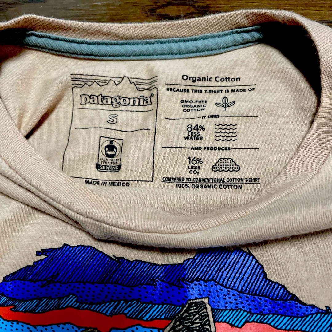 patagonia(パタゴニア)の夏SALE❗️Patagonia ベア グラフィックTシャツ メンズのトップス(Tシャツ/カットソー(半袖/袖なし))の商品写真