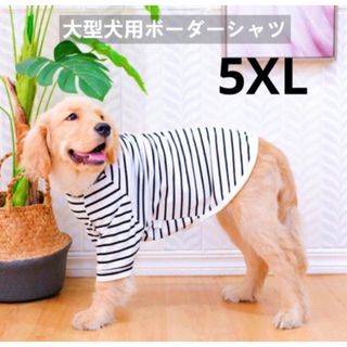 【ペット用】大型犬用 犬服 優しい シンプル ボーダーシャツ 5XL(犬)