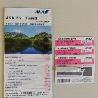 ANA(全日本空輸) - ＡＮＡグループ優待券