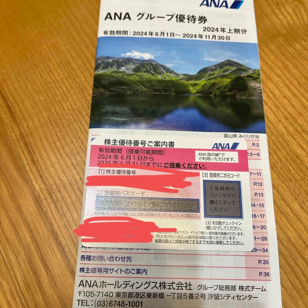 ANA(全日本空輸)(エーエヌエー(ゼンニッポンクウユ))のANA 株主優待 割引券  チケットの乗車券/交通券(航空券)の商品写真