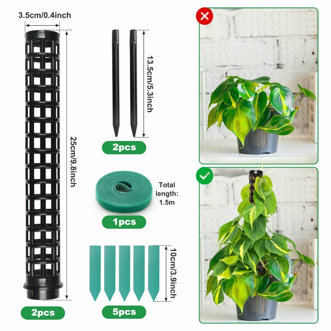 【色:2本】園芸支柱 植物支柱 花ささえ 観葉支柱 ガーデニング用品 植物サポー その他のその他(その他)の商品写真