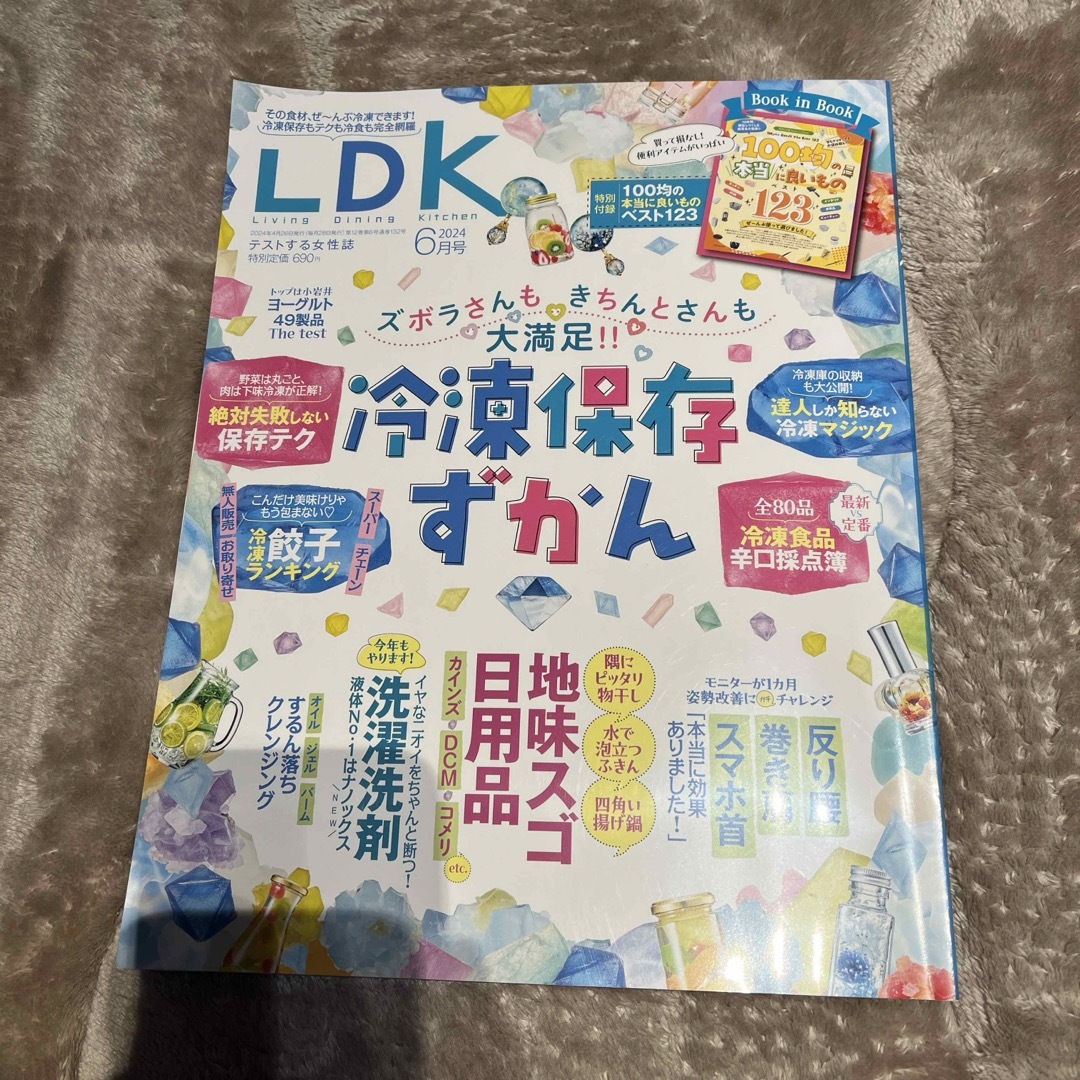 LDK (エル・ディー・ケー) 2024年 06月号 [雑誌] エンタメ/ホビーの雑誌(生活/健康)の商品写真