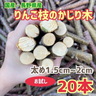 かじり木　りんごの枝　太め　20本(小動物)