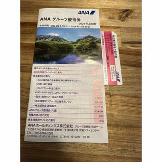 ANA(全日本空輸) - ANA 株主優待 割引券 