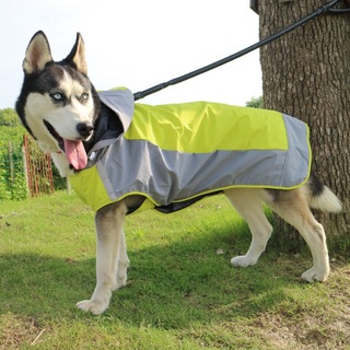 犬 レインコート 大型犬 中型犬 着せやすい 犬用レインコート ドッグウェア(犬)