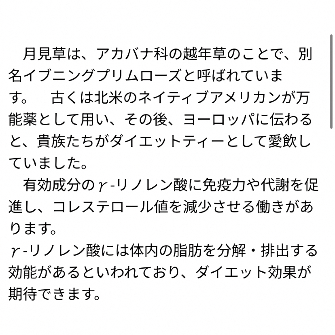 【女性ホルモン】月見草茶 野草茶 減肥茶 健康茶 薄毛 肥満 お茶 更年期障害 食品/飲料/酒の飲料(茶)の商品写真