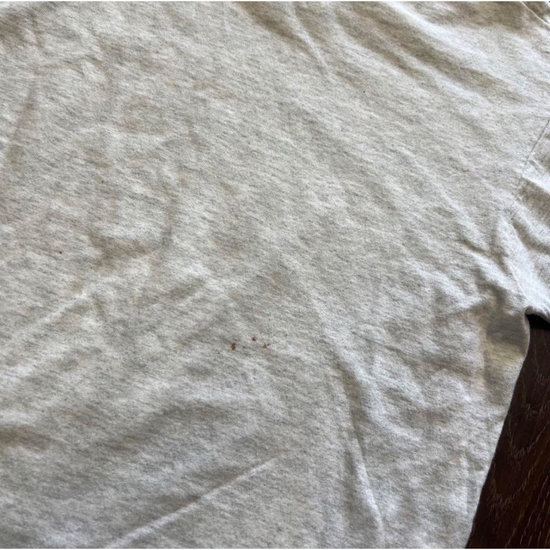 90s フルーツオブザルーツ　ハワイ大学　Tシャツ　半袖　プリント メンズのトップス(Tシャツ/カットソー(半袖/袖なし))の商品写真