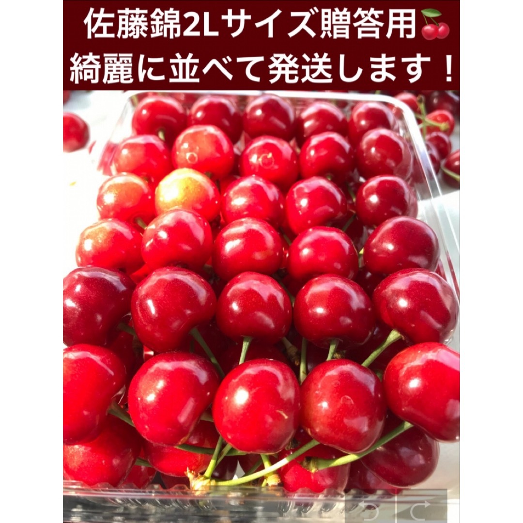 【予約ページ】産地直送！山形県産さくらんぼ　佐藤錦　ギフト　完全無農薬　クール便 食品/飲料/酒の食品(フルーツ)の商品写真