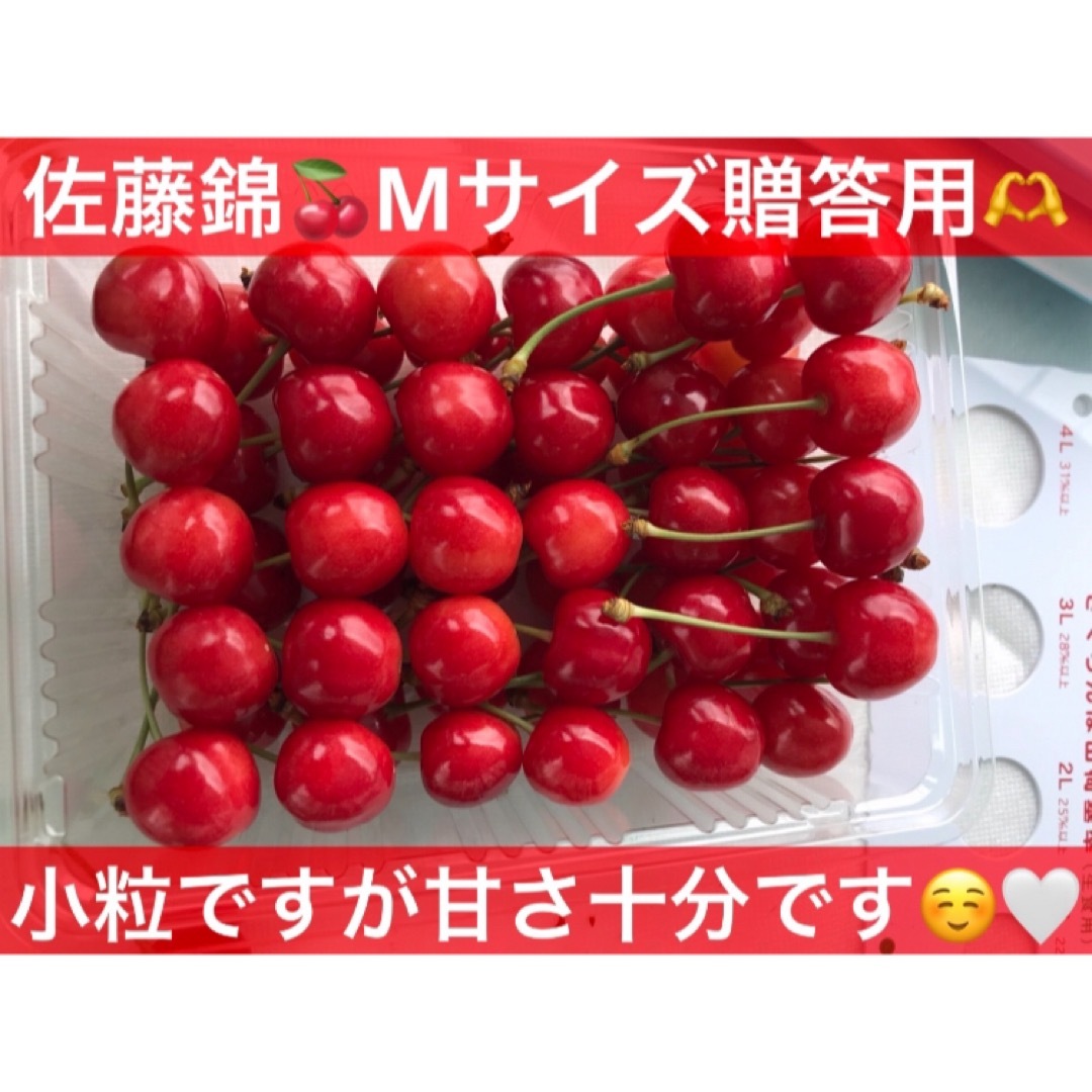 【予約ページ】産地直送！山形県産さくらんぼ　佐藤錦　ギフト　完全無農薬　クール便 食品/飲料/酒の食品(フルーツ)の商品写真