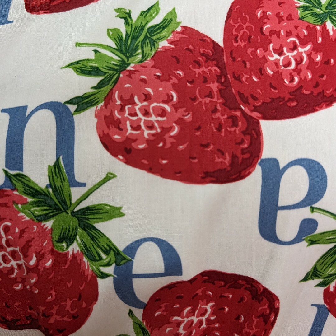 JaneMarple(ジェーンマープル)のJaneMarple Strawberry Meets Logoワンピース レディースのワンピース(ひざ丈ワンピース)の商品写真