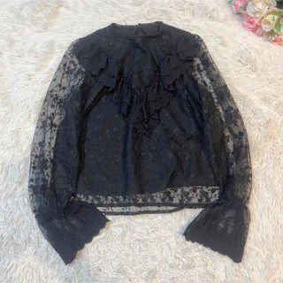 ページボーイ(PAGEBOY)の【美品】アリシアページボーイ　ブラウス　シアー  レース　刺繍　ブラック　フリル(シャツ/ブラウス(長袖/七分))