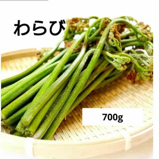 新鮮 山菜 採れたて わらび 蕨 ワラビ 700g  栄養豊富(野菜)