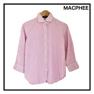 MACPHEE - MACPHEE　コットンシャツ　レディース　ストライプ　ピンク　38