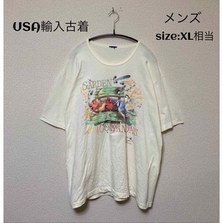 GARDEN COMPANIONS Tシャツ USA輸入古着 XL相当(Tシャツ/カットソー(半袖/袖なし))