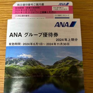 エーエヌエー(ゼンニッポンクウユ)(ANA(全日本空輸))のANA株主優待券1枚(その他)