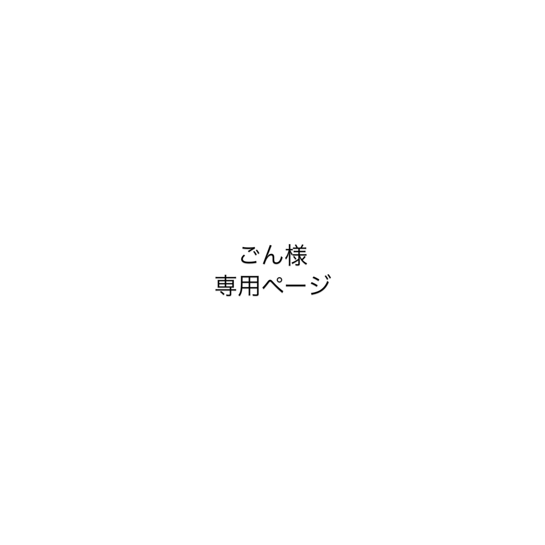 ごん様　専用ページ エンタメ/ホビーのおもちゃ/ぬいぐるみ(キャラクターグッズ)の商品写真