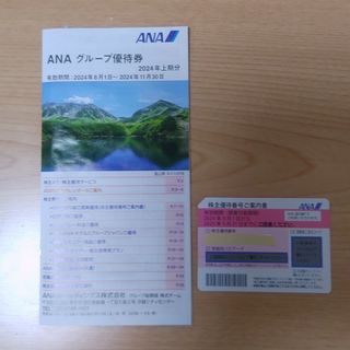 エーエヌエー(ゼンニッポンクウユ)(ANA(全日本空輸))のANA　株主優待券(航空券)