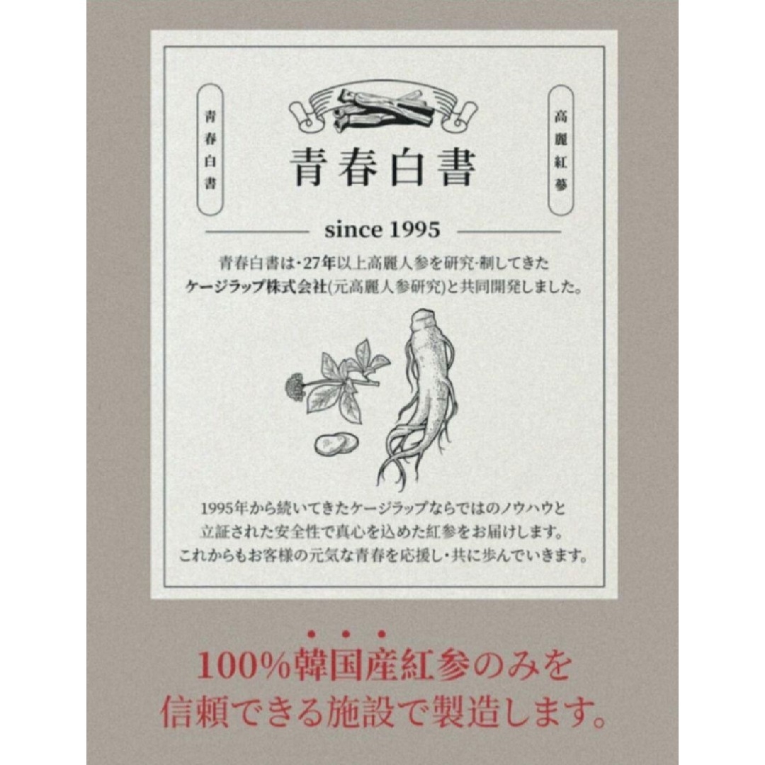 6年根高麗紅参エキス 10g × 30本 食品/飲料/酒の健康食品(その他)の商品写真