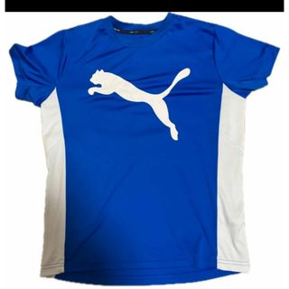 プーマ(PUMA)のPUMA スポーツTシャツ　160サイズ　ブルー(Tシャツ/カットソー)