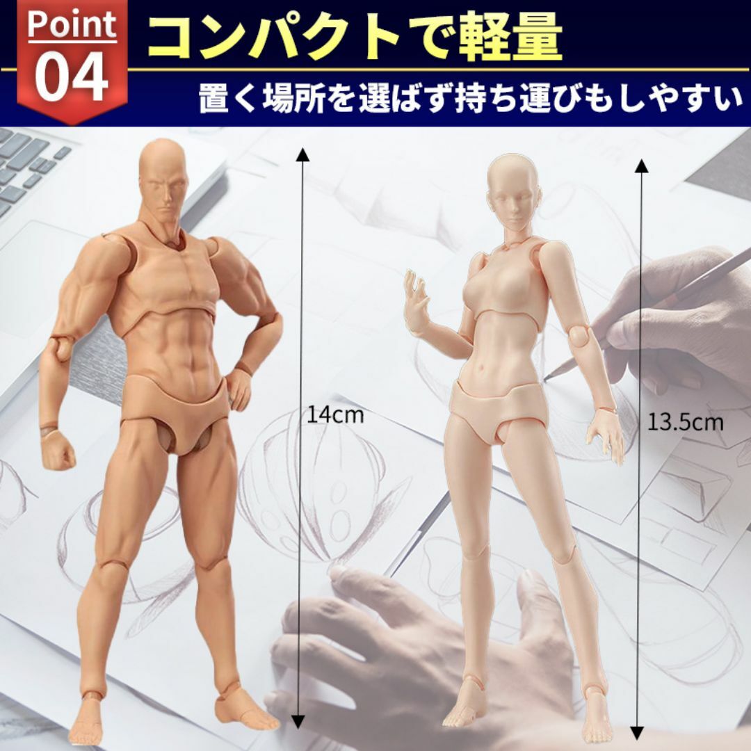 デッサンドール 女性 モデル 人形人体 模型 フィギュア 関節 スケッチ 描写 エンタメ/ホビーのアート用品(その他)の商品写真