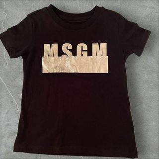 エムエスジイエム(MSGM)のエムエスジーエス MSGM バーバリー ファミリア Tシャツ 半袖(Tシャツ/カットソー)