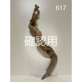 流木【617】