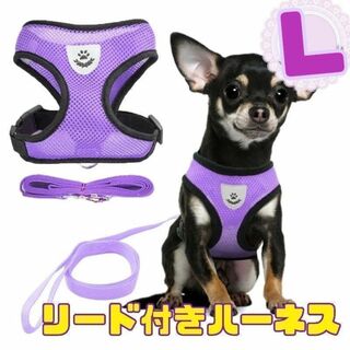 紫  L リード付きハーネス  首輪 胴輪 散歩 ペット メッシュ(犬)
