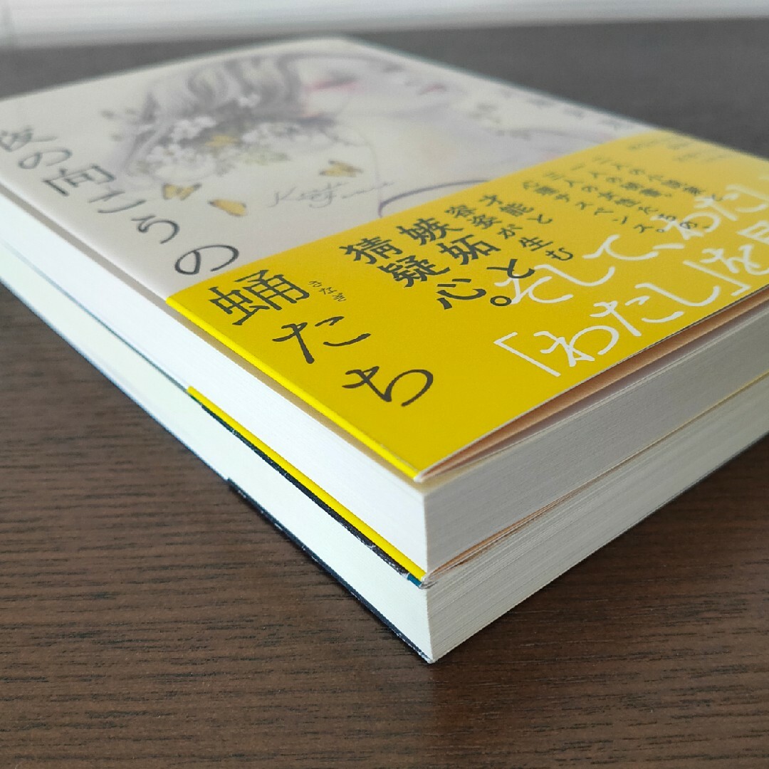 ホテル·ピーベリー  夜の向こうの蛹たち  近藤史恵 エンタメ/ホビーの本(文学/小説)の商品写真