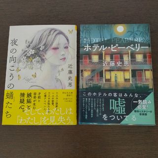 ホテル·ピーベリー  夜の向こうの蛹たち(文学/小説)